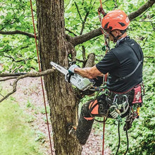 Load image into Gallery viewer, STIHL MSA 161 T 12" Battery Chainsaw