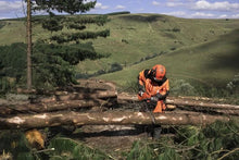 Load image into Gallery viewer, Husqvarna 565 16" Chainsaw
