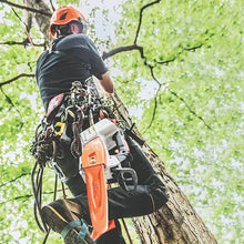 Load image into Gallery viewer, STIHL MSA 161 T 12" Battery Chainsaw
